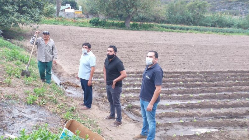 Trabajan en la reactivación productiva de Banda de Varela