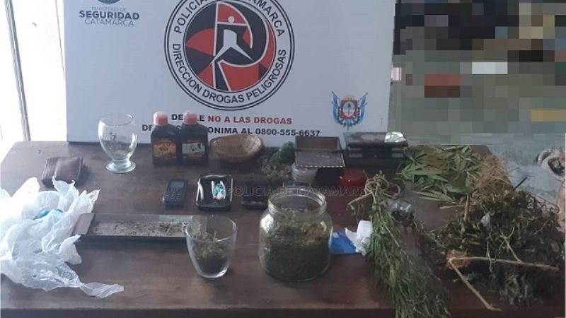 Secuestran 4 porros y 2 plantas de marihuana