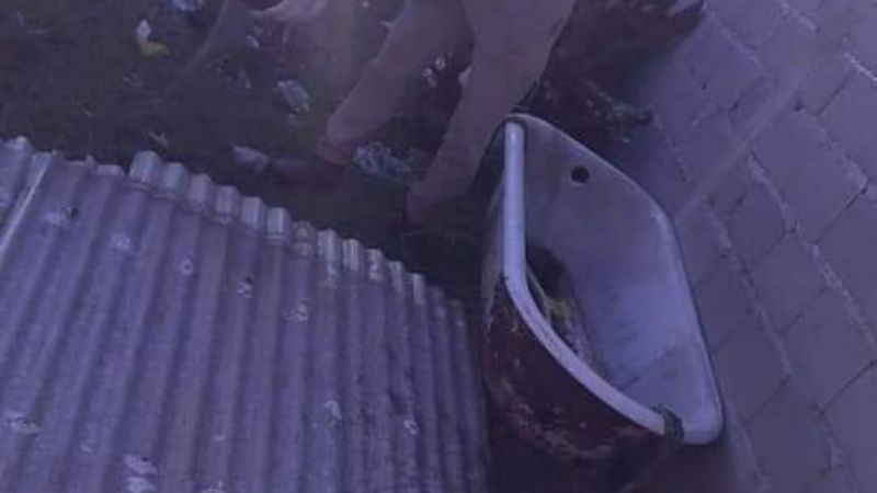 Piden extremar medidas de prevención contra el Dengue