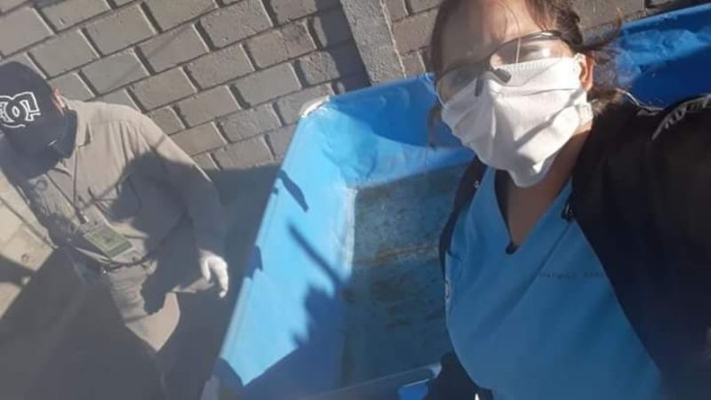 Piden extremar medidas de prevención contra el Dengue