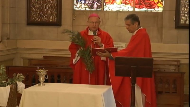 Domingo de Ramos a los pies de la Madre del Valle