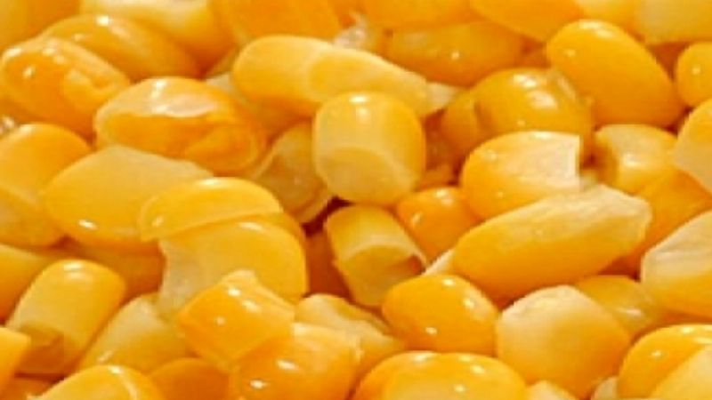 Prohíben la comercialización de un choclo amarillo en granos