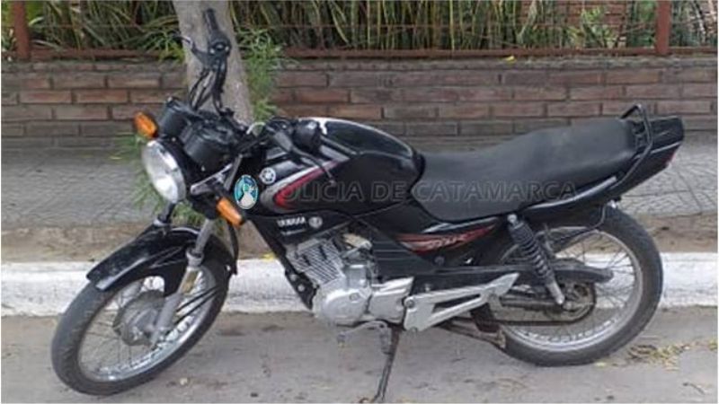 Secuestran 380 kilos de pollo en un operativo de control vehicular