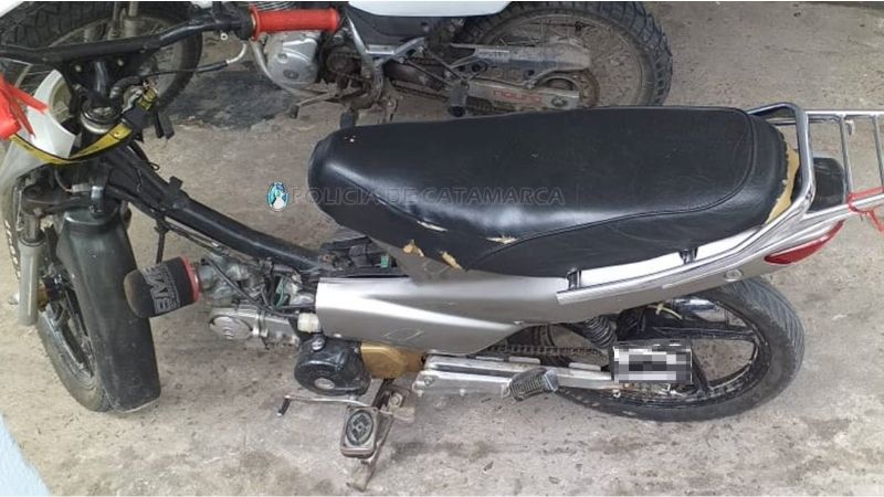 Secuestran 380 kilos de pollo en un operativo de control vehicular