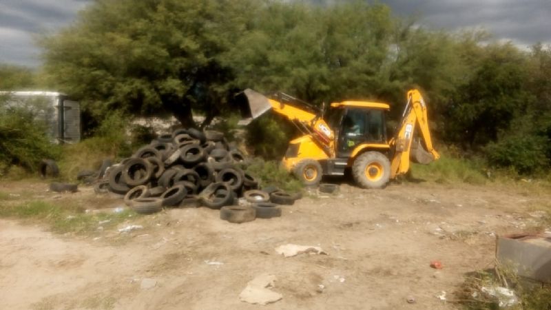 Batalla sin tregua contra el dengue
