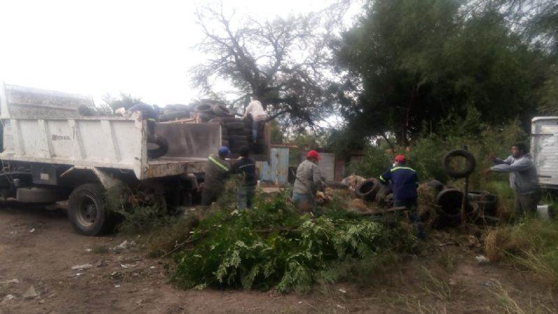 Batalla sin tregua contra el dengue