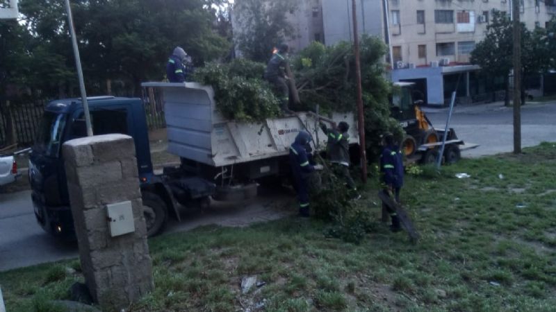 Batalla sin tregua contra el dengue