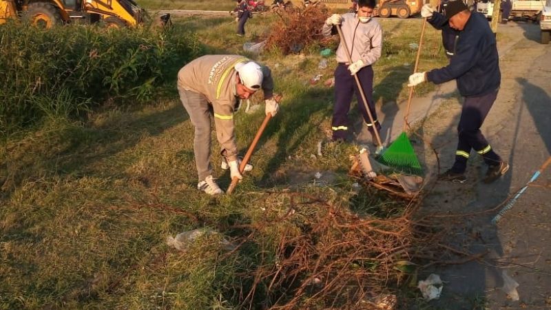 Batalla sin tregua contra el dengue