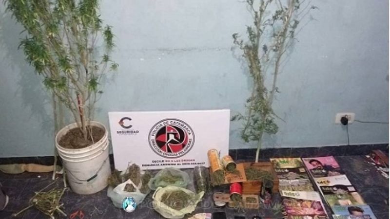 Incautan una planta de Marihuana y revistas