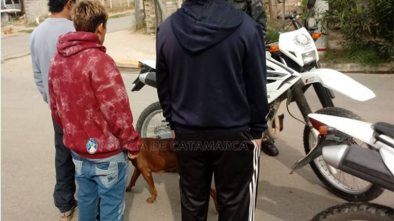 Unas 44 personas salieron a la calle sin permiso