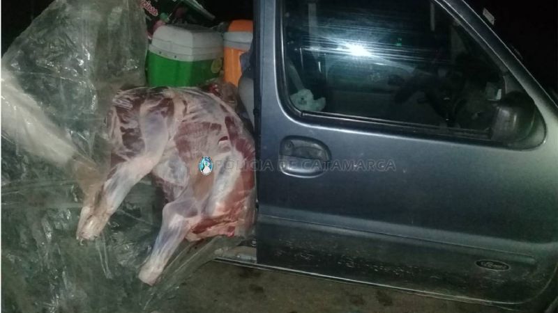 Decomisan 60 kilos de carne vacuna en Ancasti