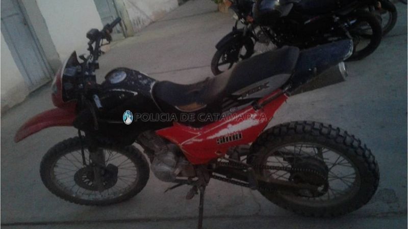 Quiso robar animales en un campo