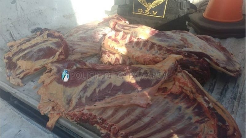 En una EcoSport llevaba un animal faenado