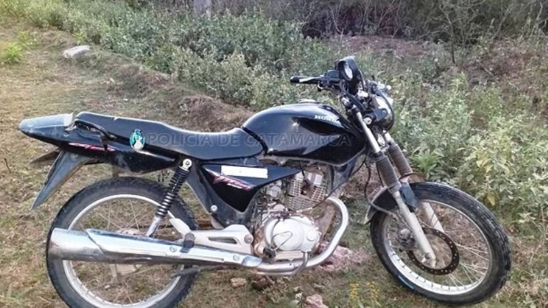 Motociclista embistió a un caballo en la ruta