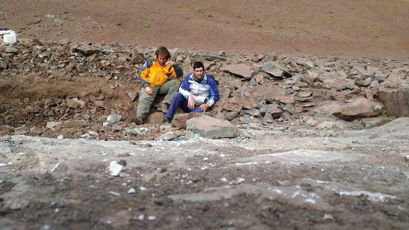 Paleontólogos argentinos hallaron un megarraptor de diez metros de longitud