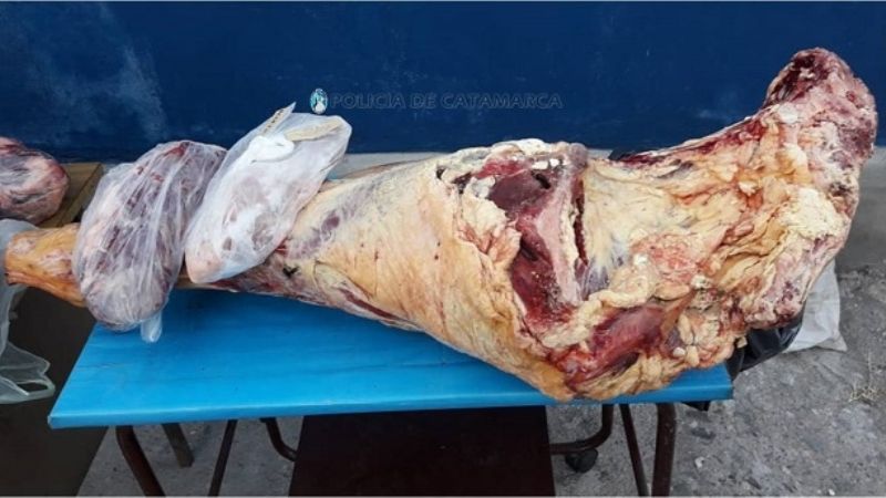 Viajaba en un colectivo con 50 kilos de carne sin la cadena de frío