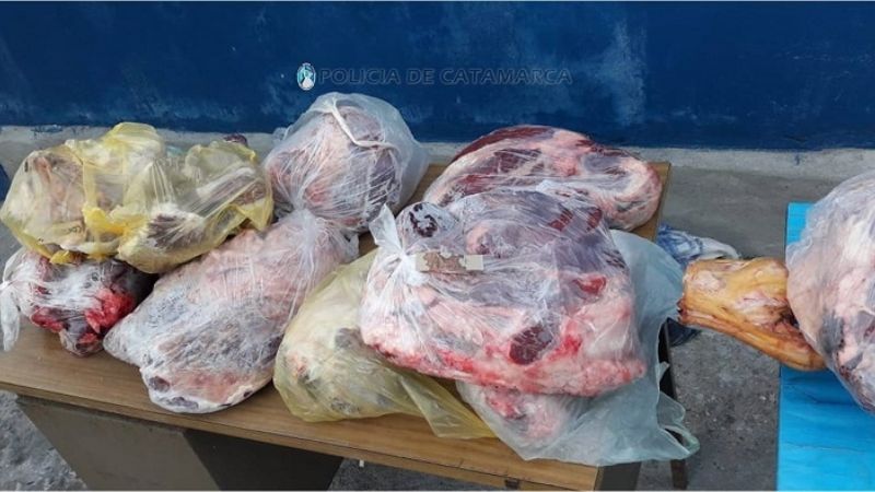 Viajaba en un colectivo con 50 kilos de carne sin la cadena de frío