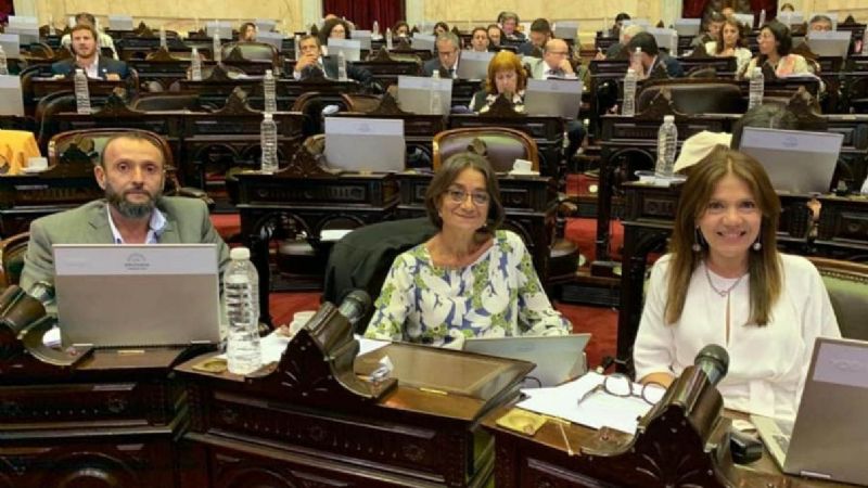 Diputados tratará un proyecto de Corpacci, Ginocchio y López Rodríguez