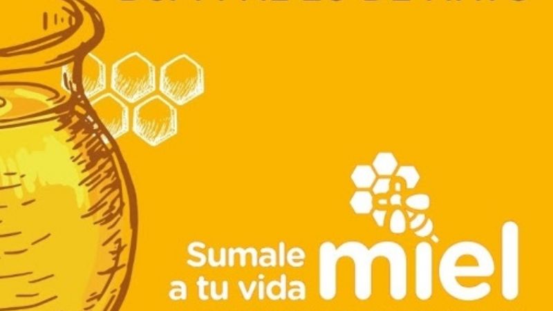 La campaña de promoción de la miel será por redes sociales