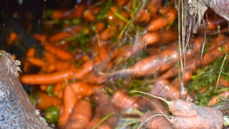 Buscan apuntalar a trabajadores de la economía popular