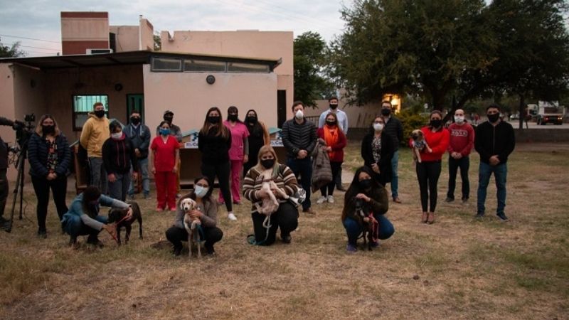 Zoonosis instalará más refugios para perros