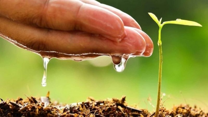 Catamarca se une a la Semana Laudato Si’