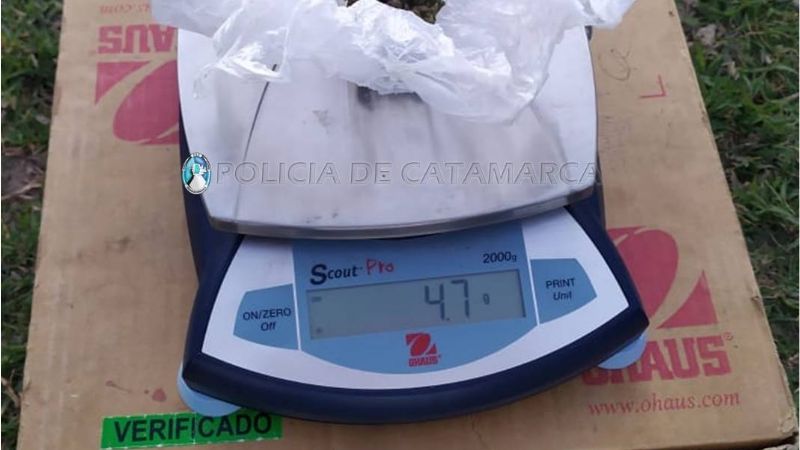 Secuestran cogollos de marihuana en Santa María