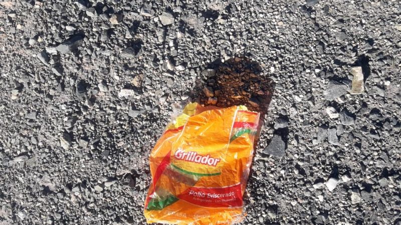 Arrojaron pollos vencidos en plena naturaleza antofagasteña