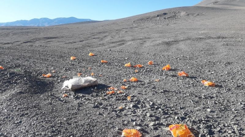 Arrojaron pollos vencidos en plena naturaleza antofagasteña