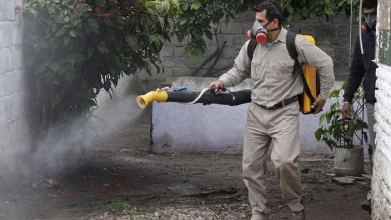 Los casos de dengue en Argentina superan al coronavirus