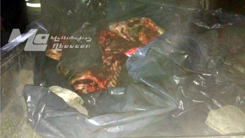 Decomisan importante cantidad de carne vacuna en Fiambalá