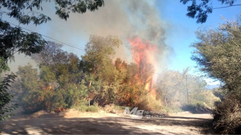Incendio consumió pastizales y parte de viñedos