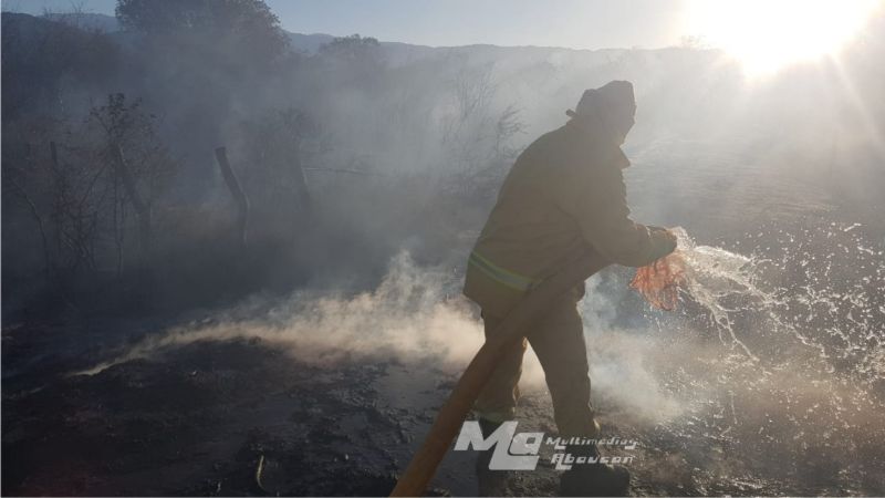 Incendio consumió pastizales y parte de viñedos
