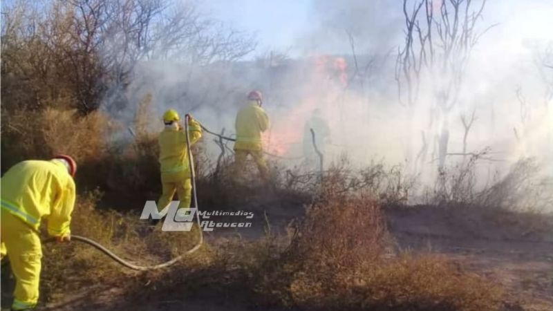 Incendio consumió pastizales y parte de viñedos