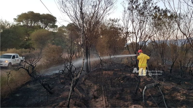 Incendio consumió pastizales y parte de viñedos