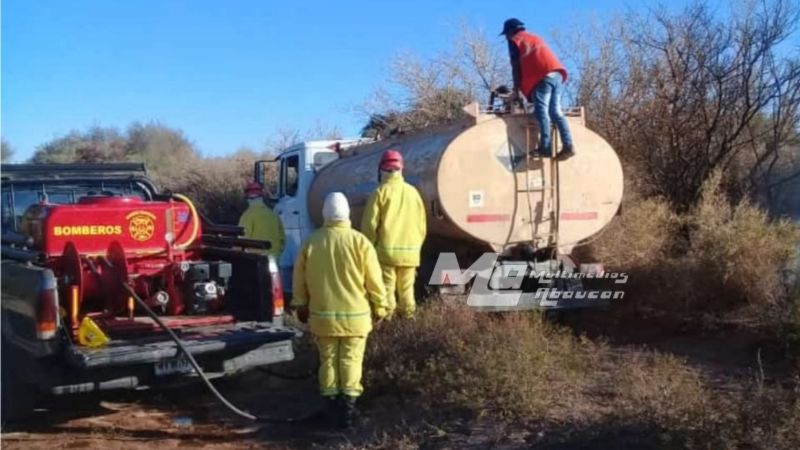 Incendio consumió pastizales y parte de viñedos