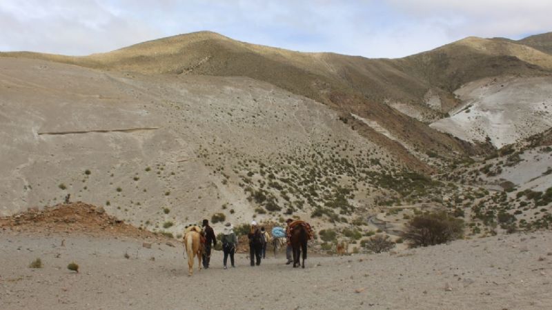 A lomo de burro, intendenta visitó a pobladores de la precordillera
