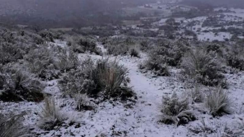 Con la primera helada del año, las montañas se vistieron de blanco