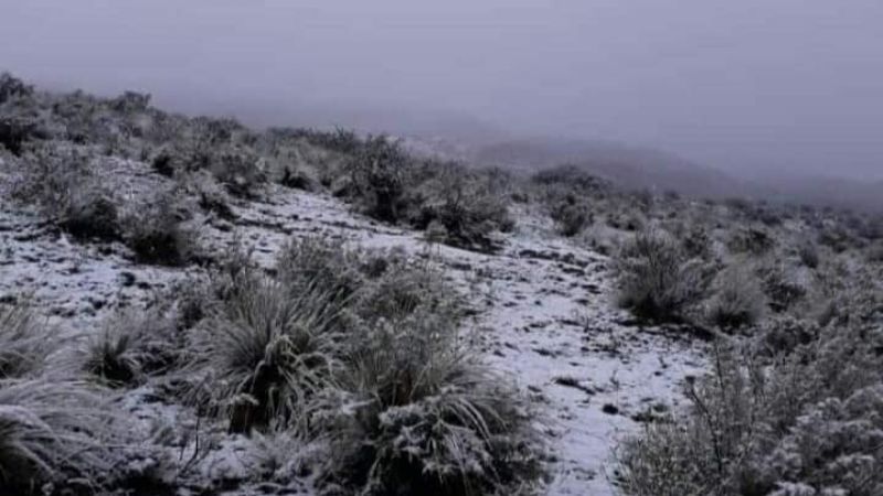 Con la primera helada del año, las montañas se vistieron de blanco