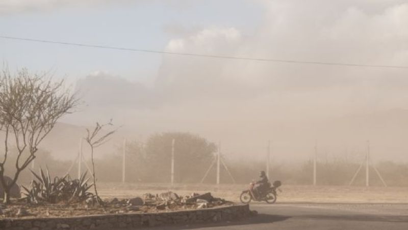 Alerta meteorológica por vientos intensos