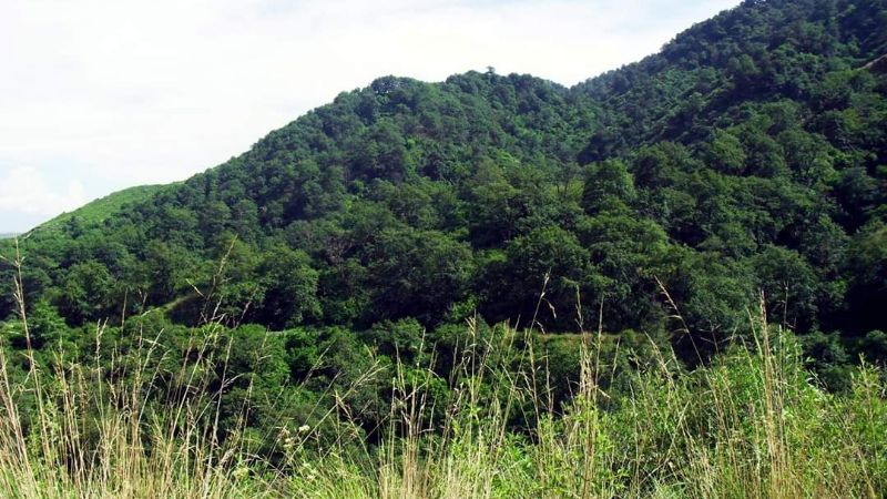 Se celebra el Día de la Diversidad Biológica