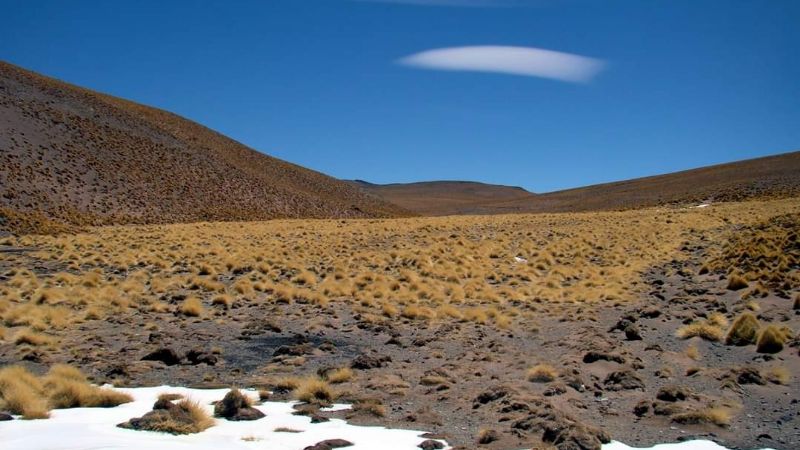 Se celebra el Día de la Diversidad Biológica