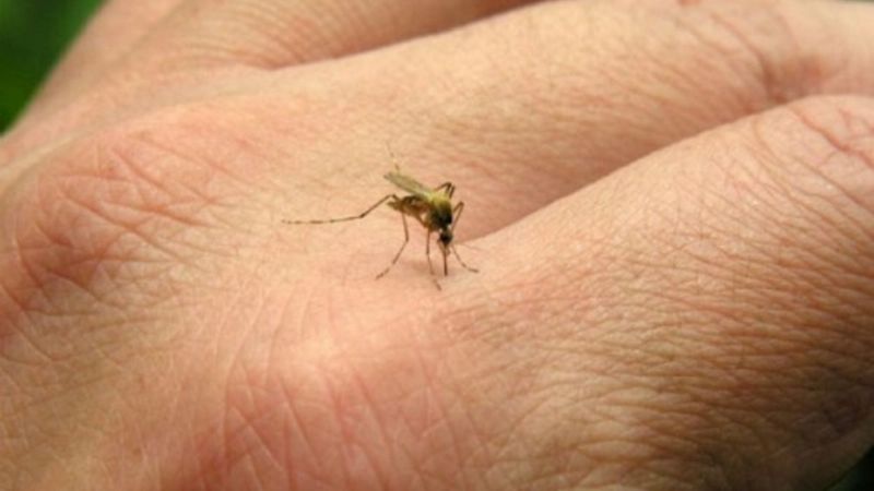 Confirman más de 41 mil casos de dengue y 24 muertes en la Argentina