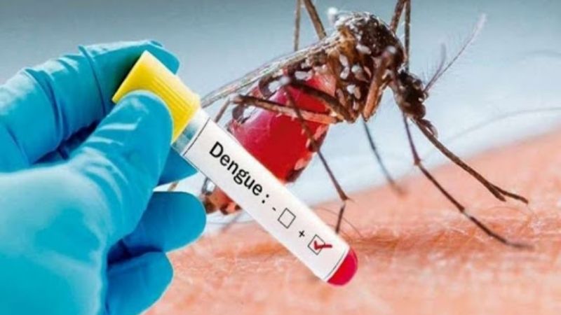 Provincias del NOA lideran los casos de enfermos de dengue