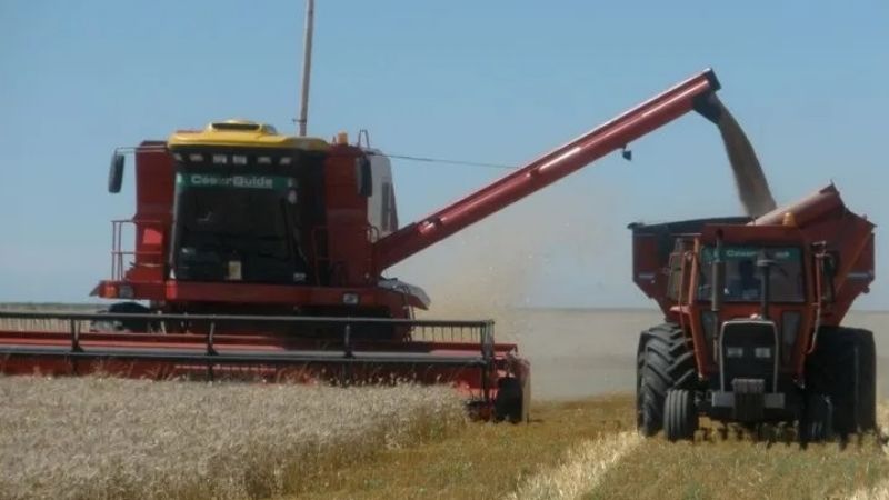Cosecha récord de trigo garantiza fondos para fin de año