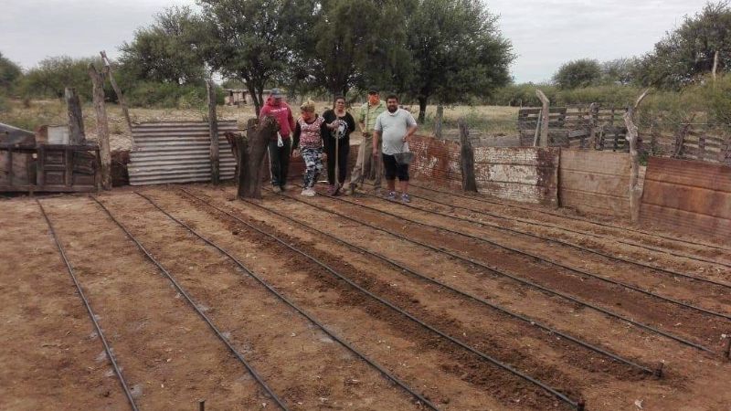 Impulsan Huertas Familiares en Recreo