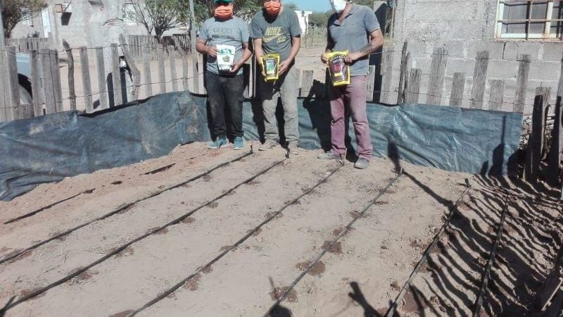 Impulsan Huertas Familiares en Recreo