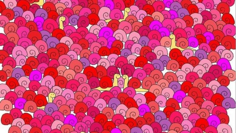 Nuevo reto viral: ¿Podés encontrar el corazón entre los caracoles?