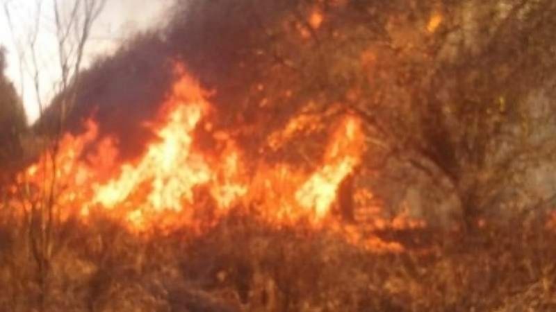 Bomberos apagaron un incendio de pastizales