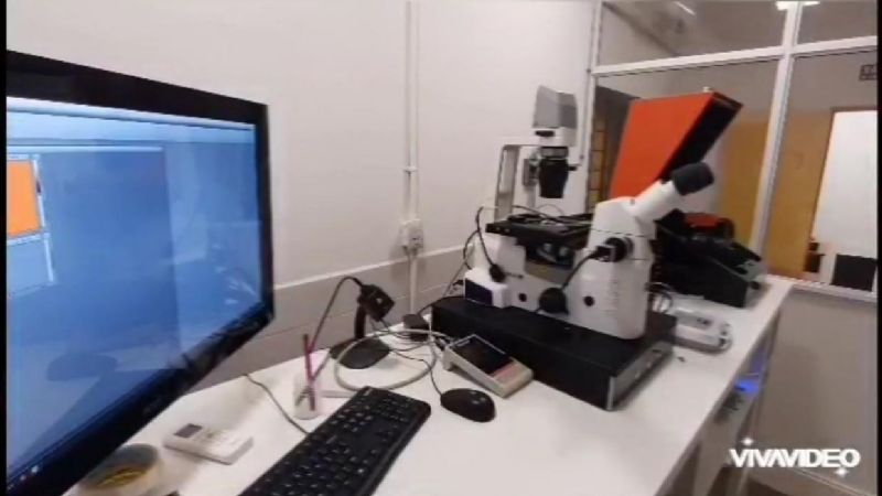 Olimpíada Argentina de Ciencias Junior 2022